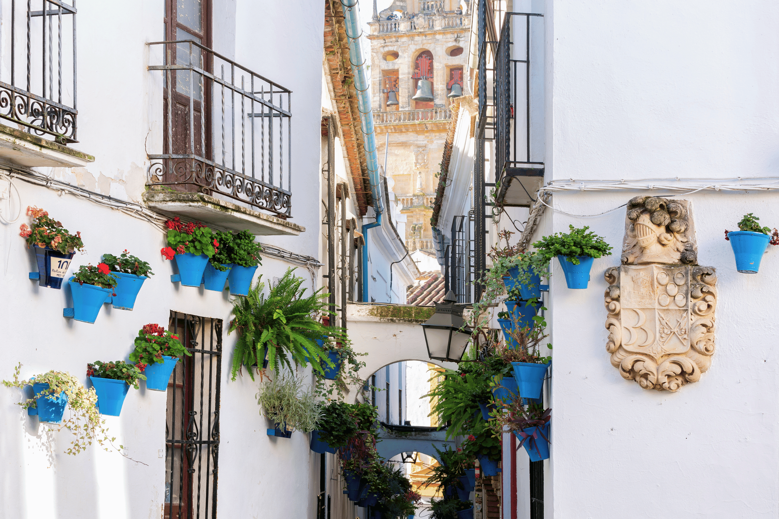 Casa Rural en Córdoba con piscina - Calle de las flores de Córdoba