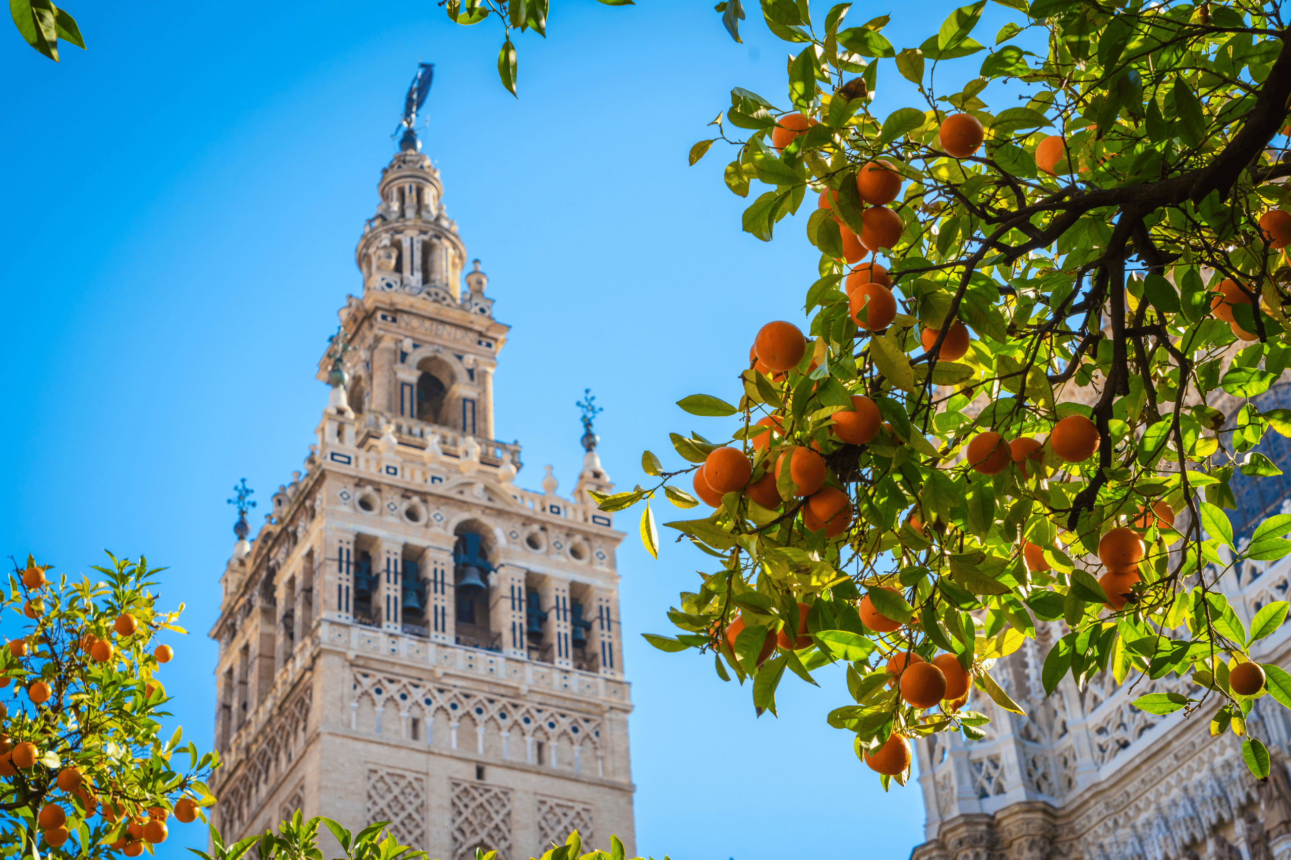 Casa Rural en Málaga con piscina - Giralda Sevilla